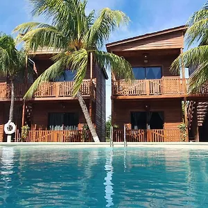 Coconut By Ool Holbox